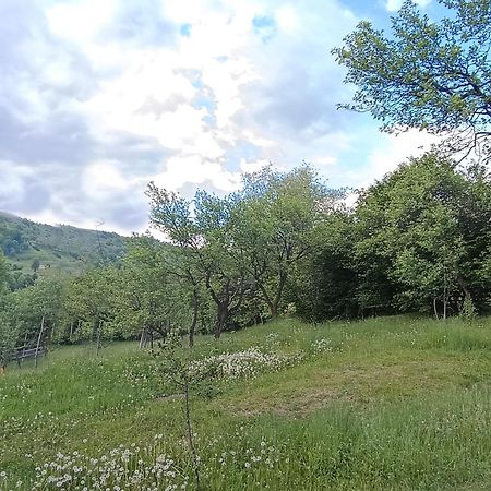 Casuta Din Livada Villa Moisei Luaran gambar