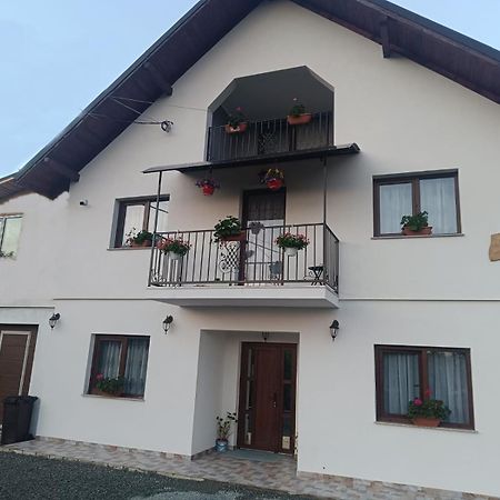 Casuta Din Livada Villa Moisei Luaran gambar