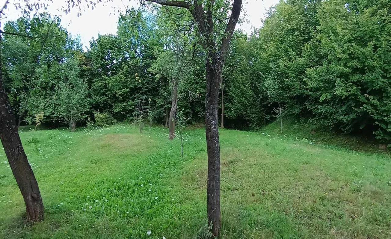 Casuta Din Livada Villa Moisei Luaran gambar