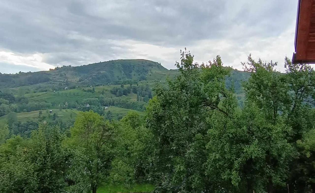 Casuta Din Livada Villa Moisei Luaran gambar