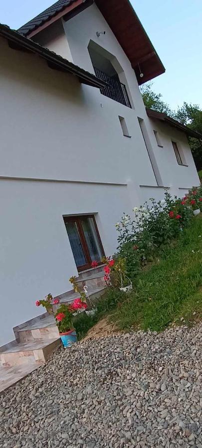 Casuta Din Livada Villa Moisei Luaran gambar