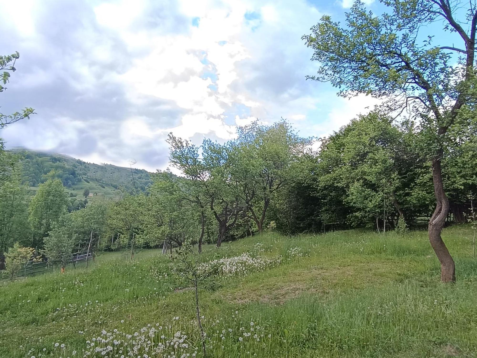 Casuta Din Livada Villa Moisei Luaran gambar
