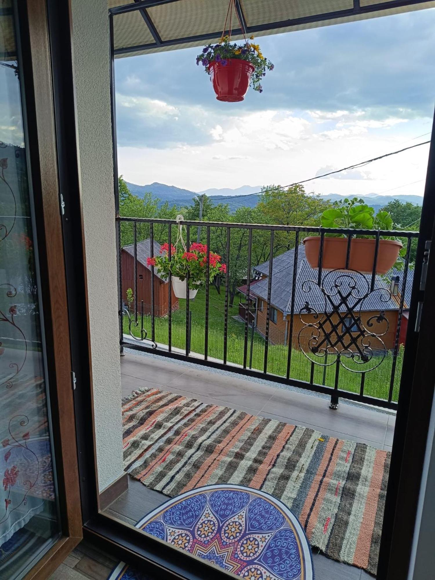 Casuta Din Livada Villa Moisei Luaran gambar