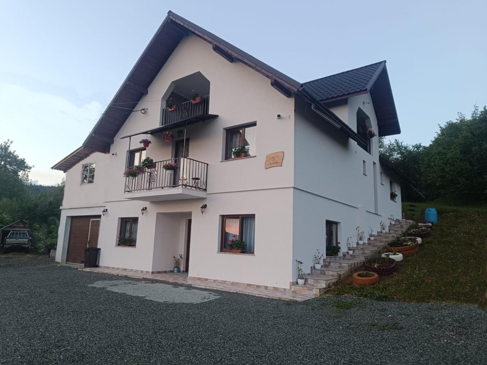 Casuta Din Livada Villa Moisei Luaran gambar